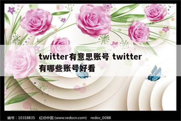 twitter有意思账号 twitter有哪些账号好看