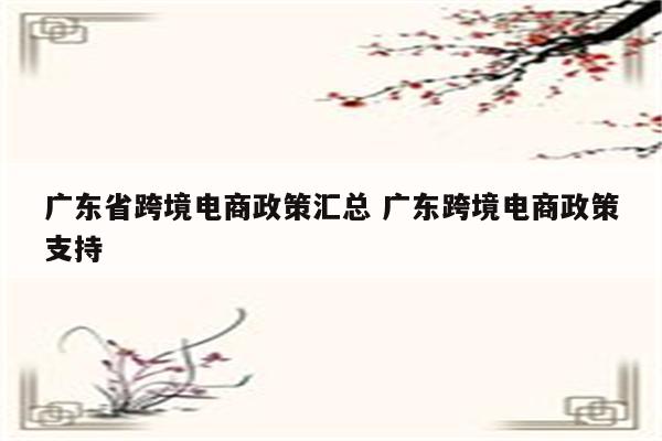 广东省跨境电商政策汇总 广东跨境电商政策支持