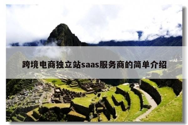 跨境电商独立站saas服务商的简单介绍