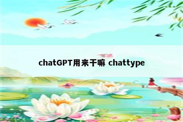 chatGPT用来干嘛 chattype