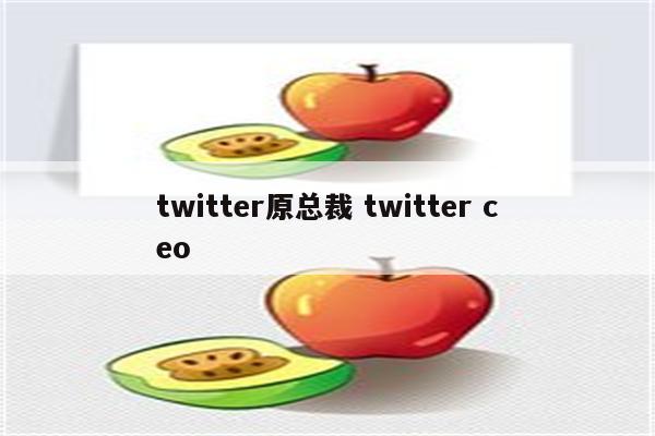 twitter原总裁 twitter ceo