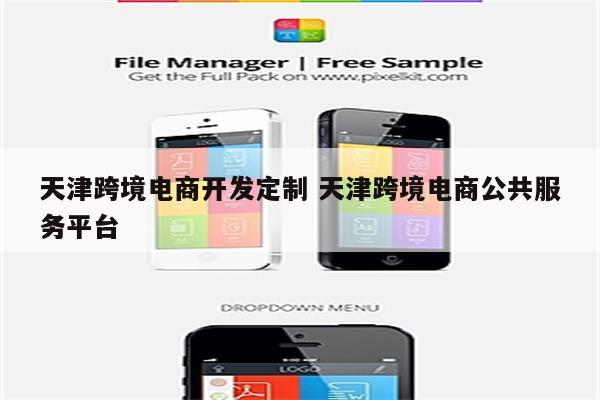 天津跨境电商开发定制 天津跨境电商公共服务平台