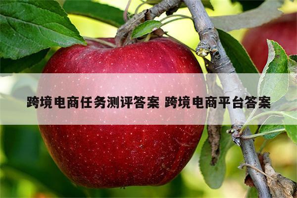 跨境电商任务测评答案 跨境电商平台答案