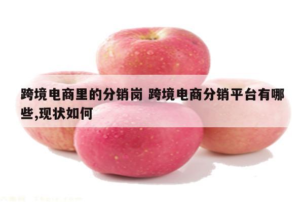 跨境电商里的分销岗 跨境电商分销平台有哪些,现状如何