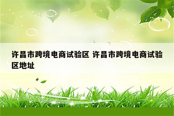 许昌市跨境电商试验区 许昌市跨境电商试验区地址