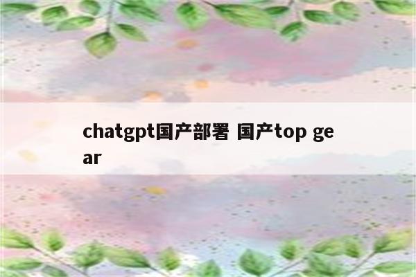 chatgpt国产部署 国产top gear