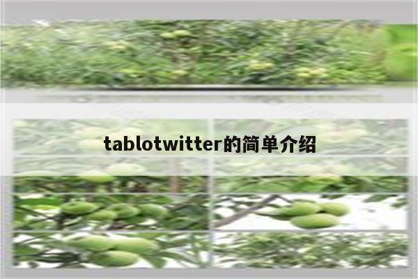 tablotwitter的简单介绍