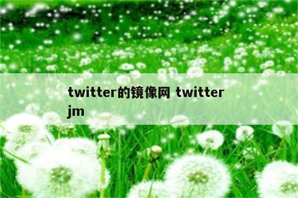 twitter的镜像网 twitter jm