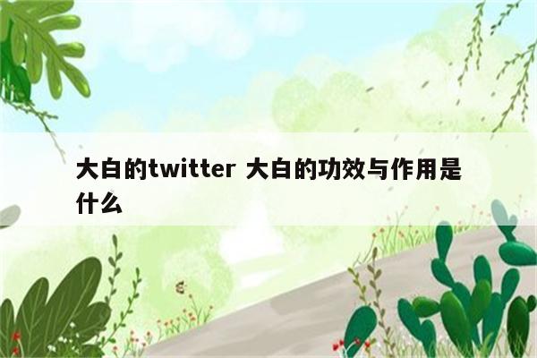 大白的twitter 大白的功效与作用是什么