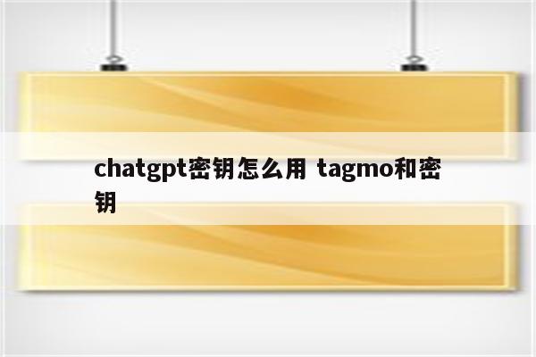 chatgpt密钥怎么用 tagmo和密钥