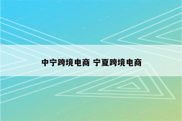 中宁跨境电商 宁夏跨境电商