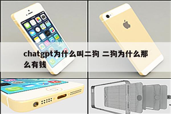 chatgpt为什么叫二狗 二狗为什么那么有钱