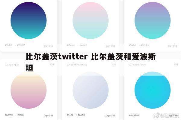 比尔盖茨twitter 比尔盖茨和爱波斯坦