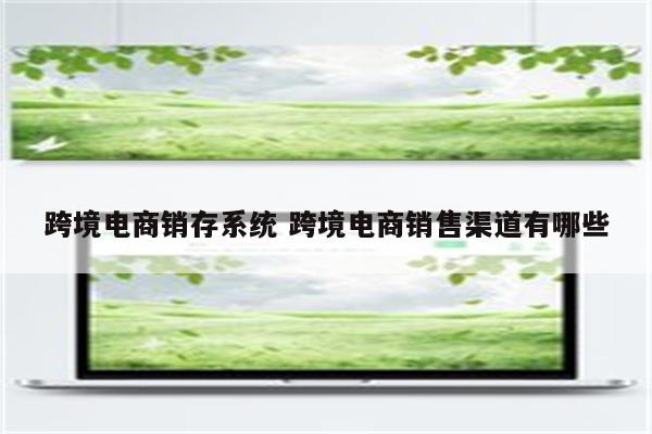 跨境电商销存系统 跨境电商销售渠道有哪些