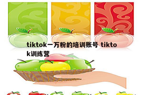 tiktok一万粉的培训账号 tiktok训练营