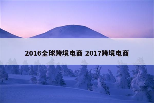 2016全球跨境电商 2017跨境电商