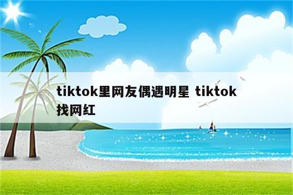 tiktok里网友偶遇明星 tiktok找网红