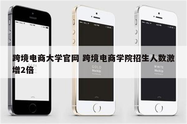 跨境电商大学官网 跨境电商学院招生人数激增2倍