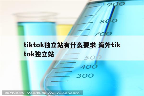 tiktok独立站有什么要求 海外tiktok独立站