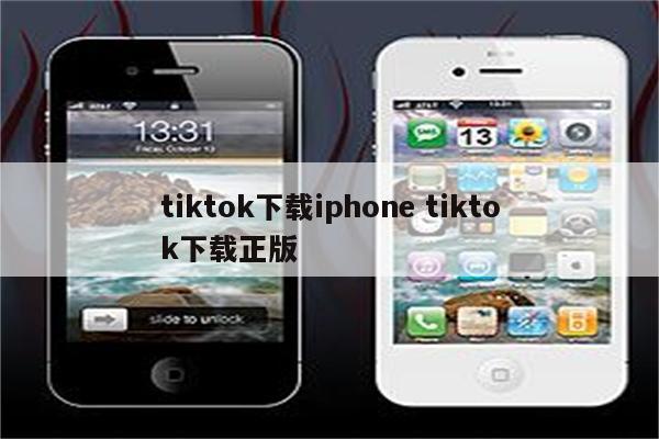 tiktok下载iphone tiktok下载正版
