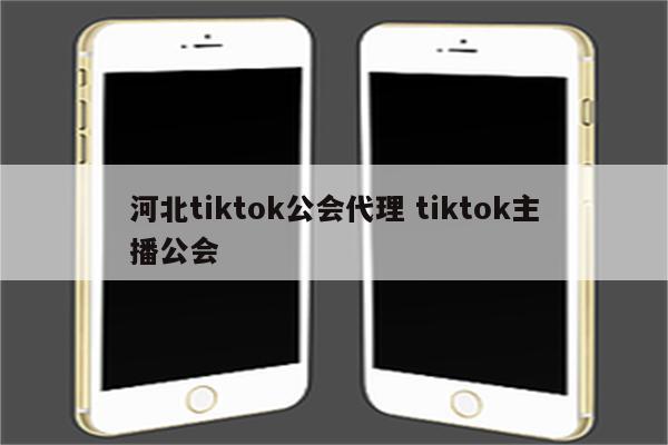 河北tiktok公会代理 tiktok主播公会