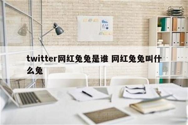 twitter网红兔兔是谁 网红兔兔叫什么兔