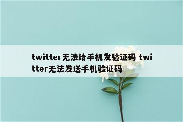 twitter无法给手机发验证码 twitter无法发送手机验证码
