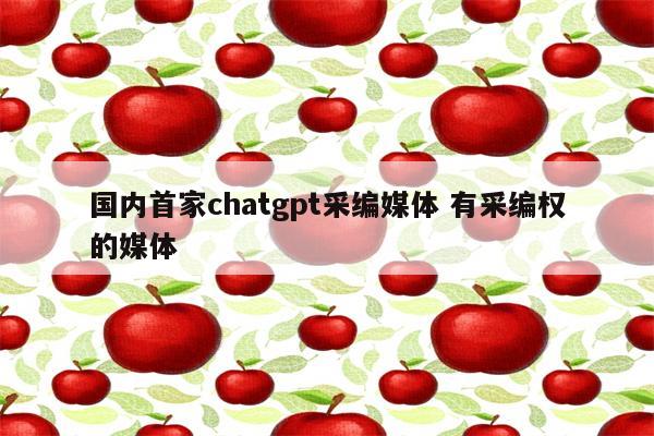 国内首家chatgpt采编媒体 有采编权的媒体