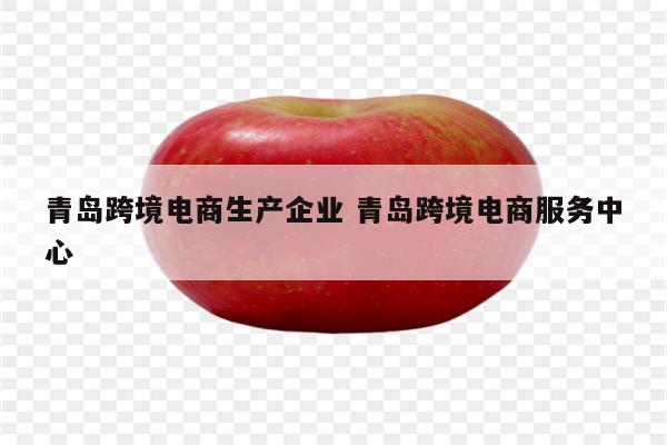 青岛跨境电商生产企业 青岛跨境电商服务中心