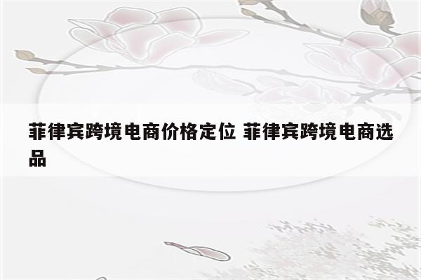 菲律宾跨境电商价格定位 菲律宾跨境电商选品