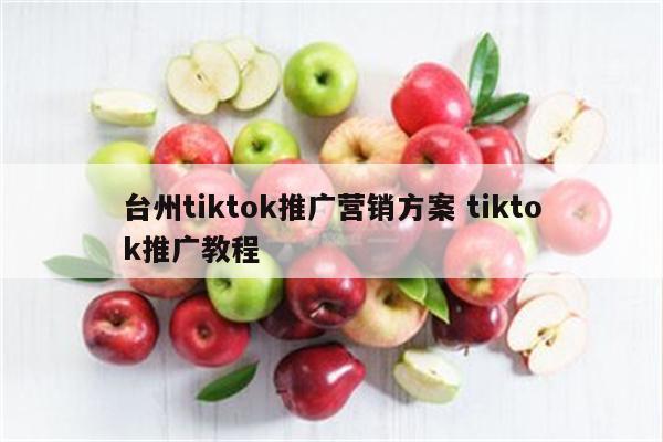 台州tiktok推广营销方案 tiktok推广教程