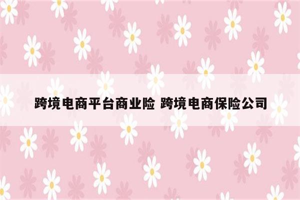 跨境电商平台商业险 跨境电商保险公司