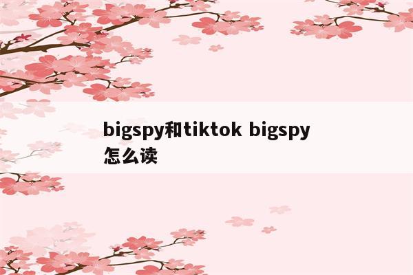 bigspy和tiktok bigspy怎么读