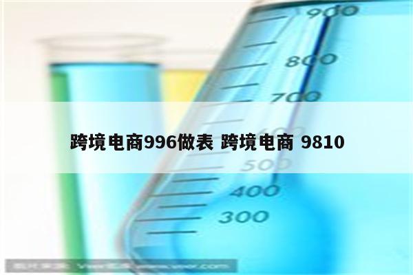 跨境电商996做表 跨境电商 9810