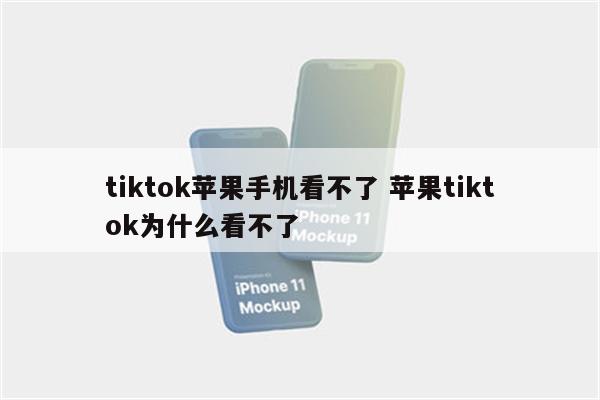 tiktok苹果手机看不了 苹果tiktok为什么看不了