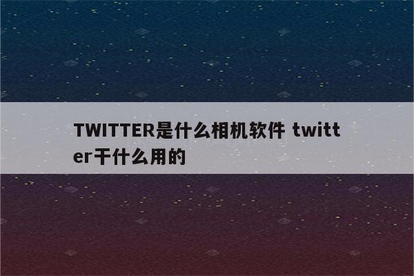 TWITTER是什么相机软件 twitter干什么用的