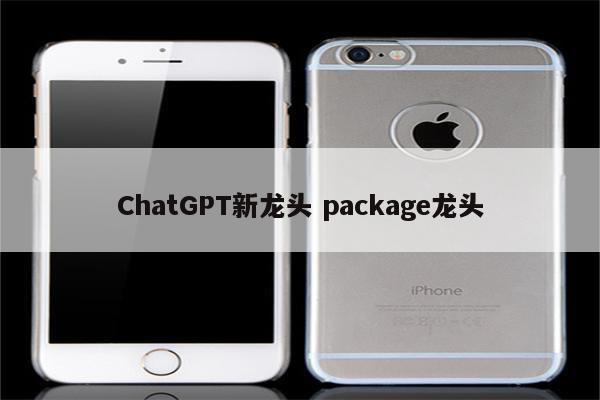 ChatGPT新龙头 package龙头
