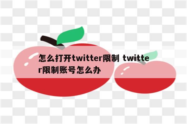 怎么打开twitter限制 twitter限制账号怎么办