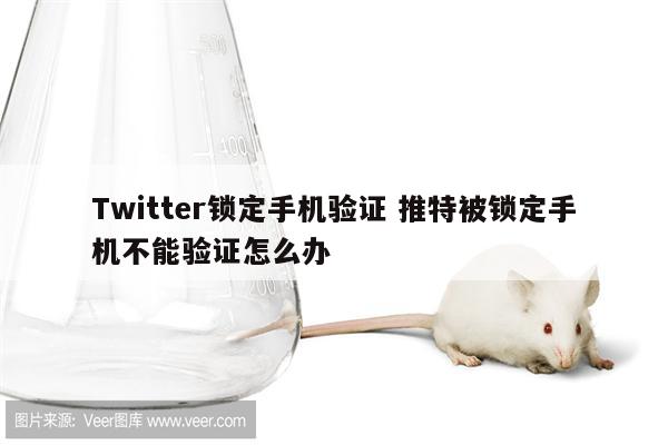 Twitter锁定手机验证 推特被锁定手机不能验证怎么办