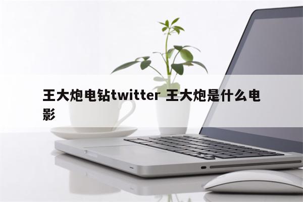 王大炮电钻twitter 王大炮是什么电影