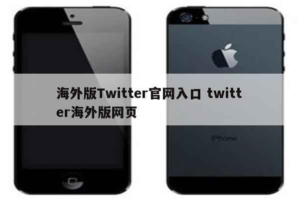 海外版Twitter官网入口 twitter海外版网页