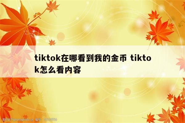 tiktok在哪看到我的金币 tiktok怎么看内容