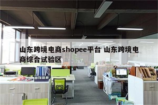 山东跨境电商shopee平台 山东跨境电商综合试验区