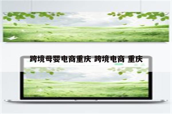 跨境母婴电商重庆 跨境电商 重庆