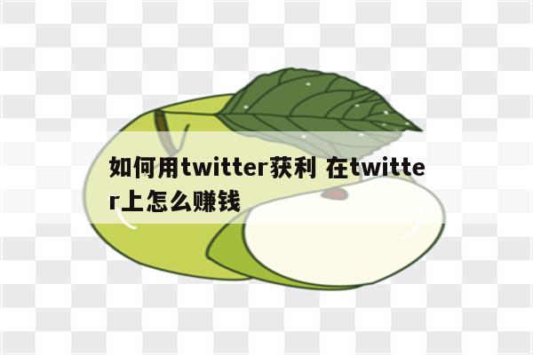 如何用twitter获利 在twitter上怎么赚钱