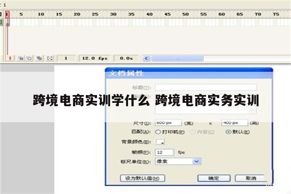 跨境电商实训学什么 跨境电商实务实训