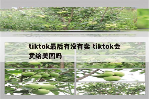 tiktok最后有没有卖 tiktok会卖给美国吗