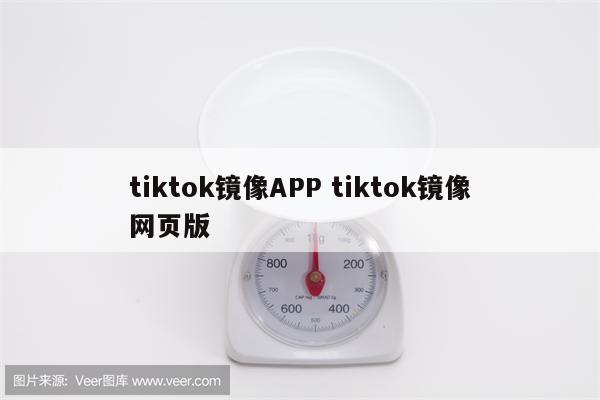 tiktok镜像APP tiktok镜像网页版