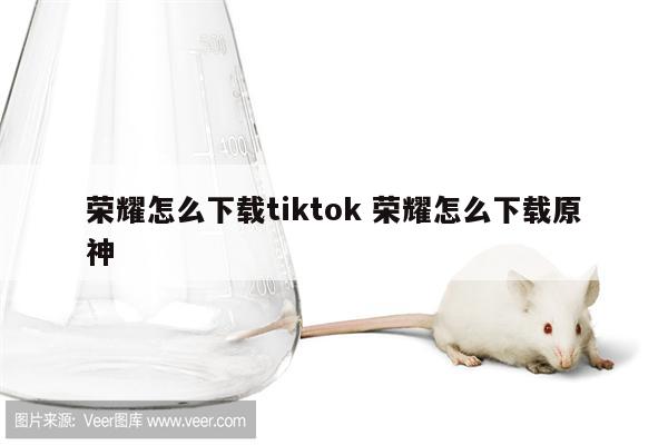 荣耀怎么下载tiktok 荣耀怎么下载原神