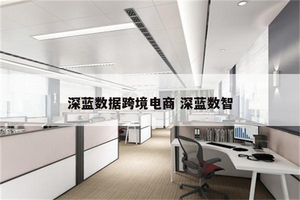 深蓝数据跨境电商 深蓝数智